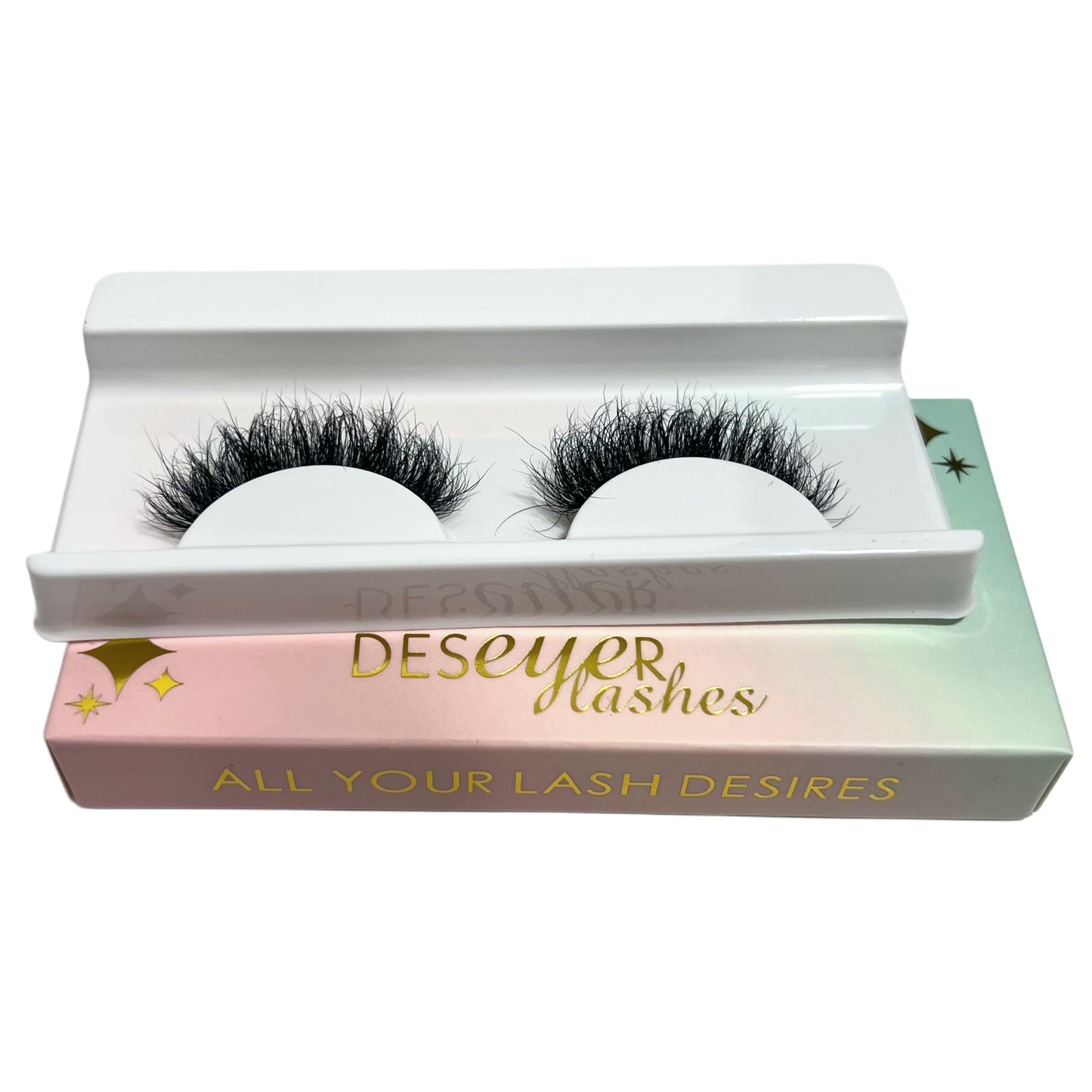 Priscilla Lash