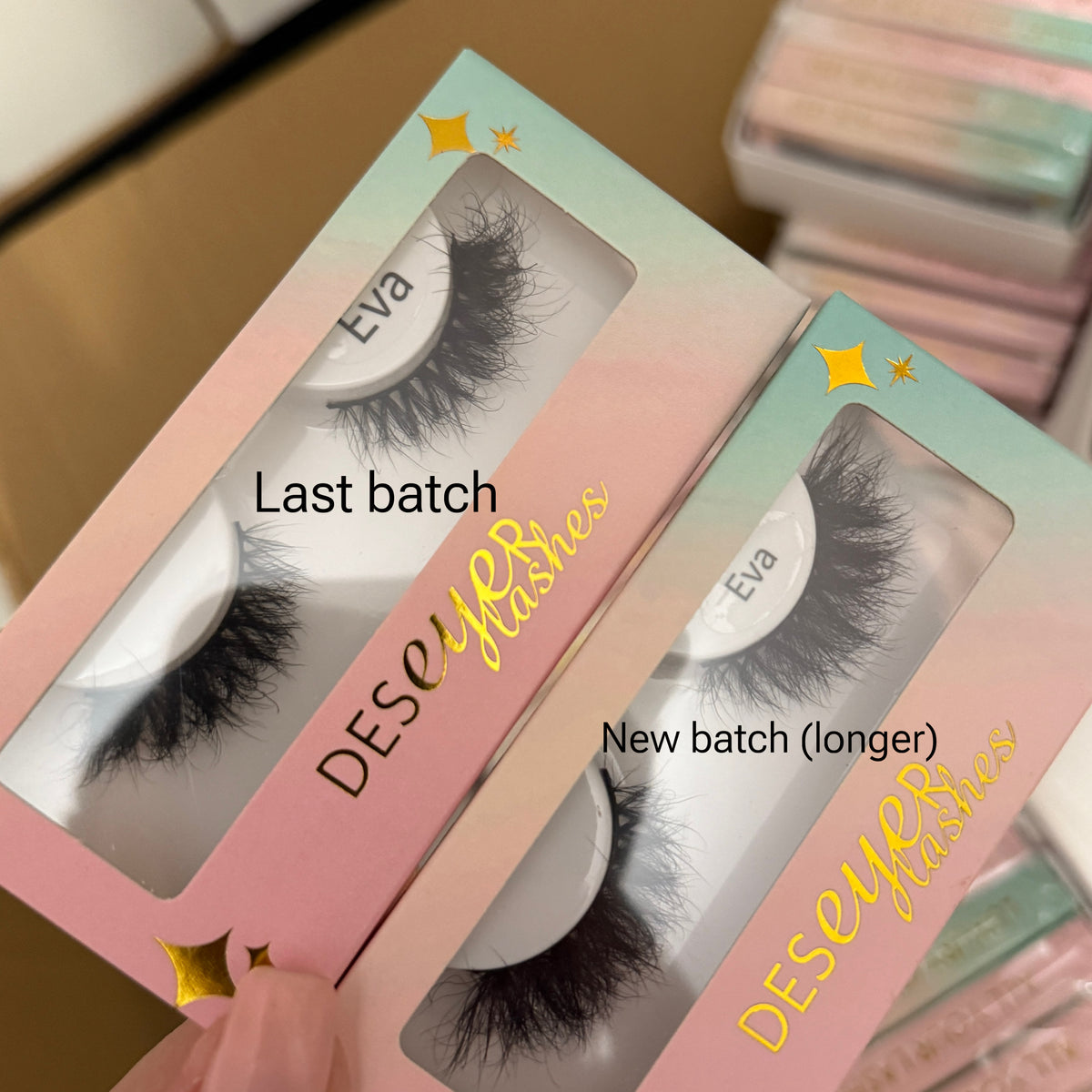 Eva Lash