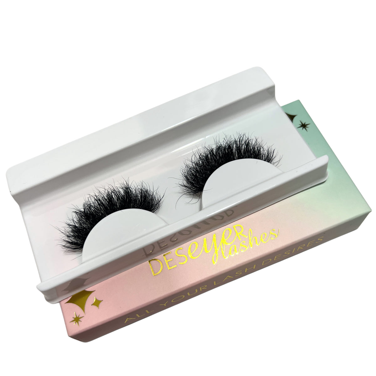 Priscilla Lash