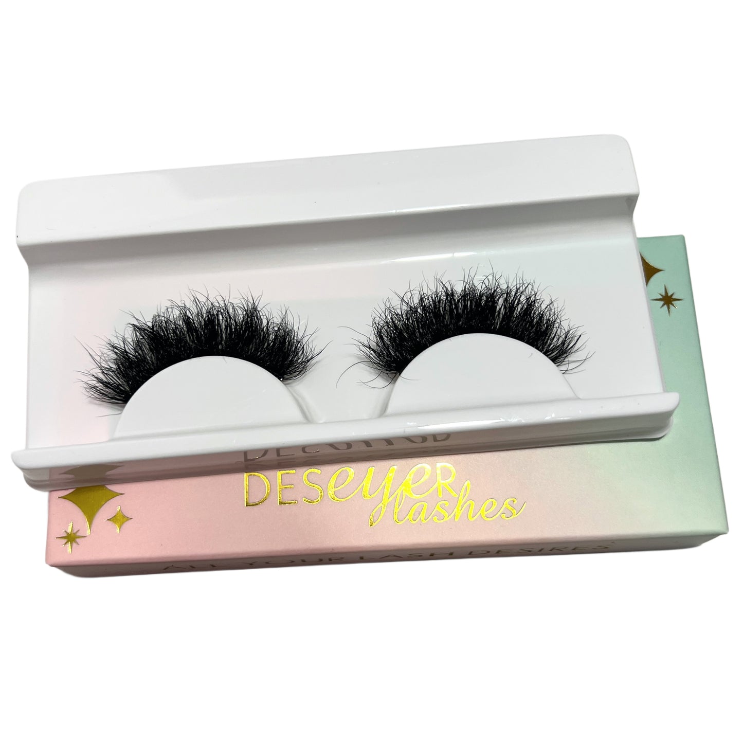 Priscilla Lash