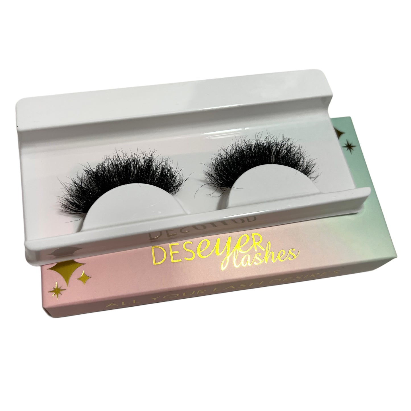 Priscilla Lash