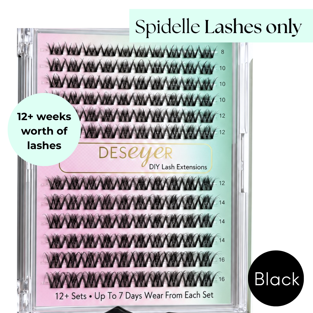 Spidelle Clusters