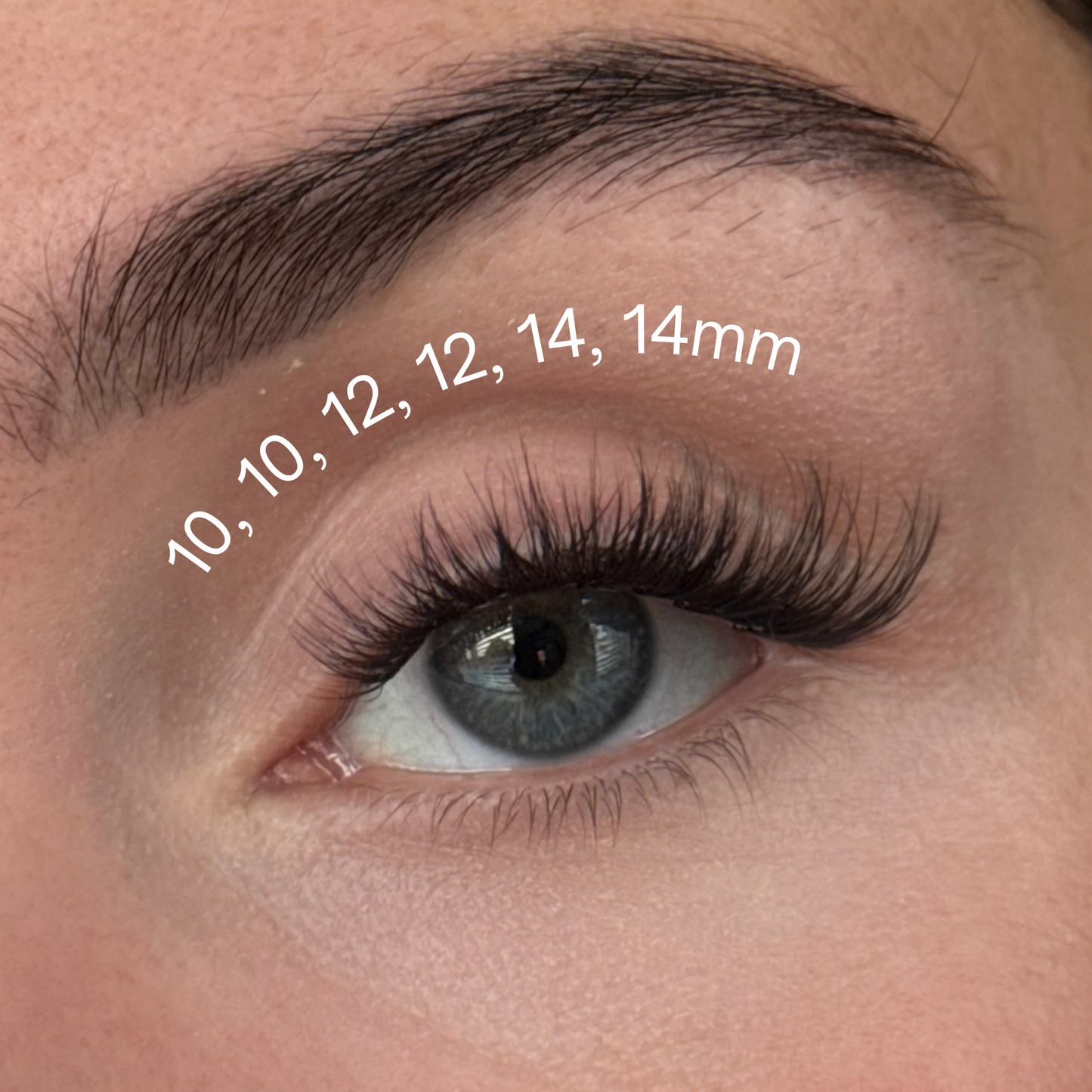 Impress Pre Glued Cluster Lashes
