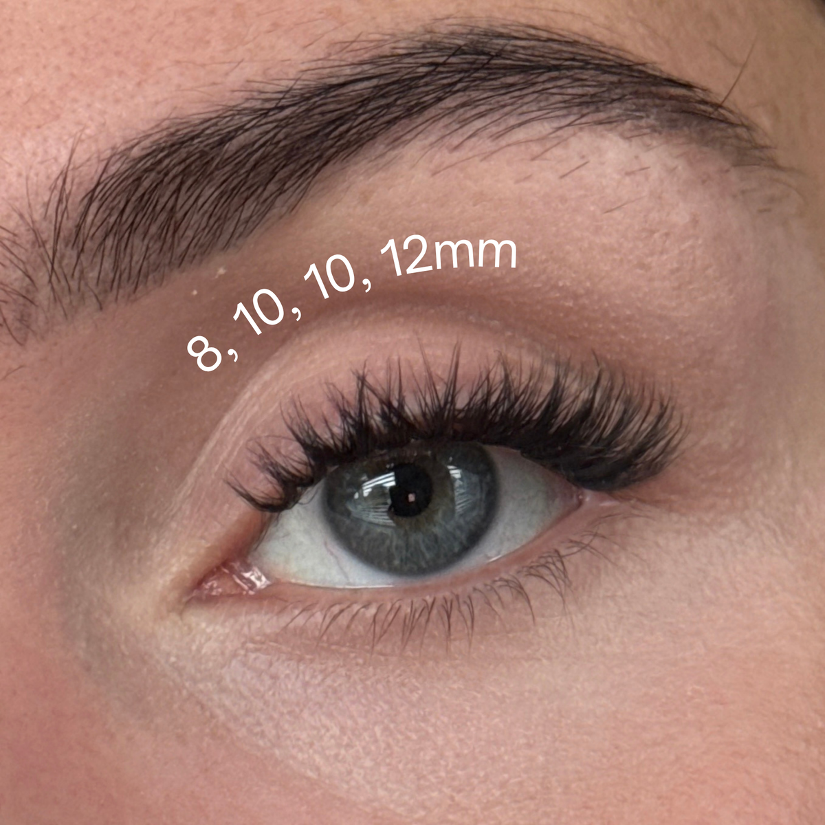 In a Blink Pre Glued Cluster Lashes